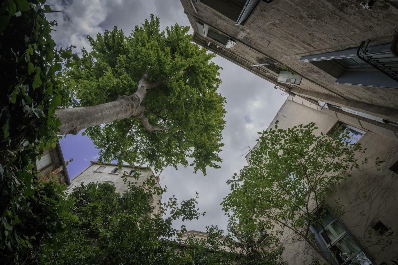 Les Jardins De L'Ecusson - Premiere Conciergerie Apartamento Montpellier Exterior foto